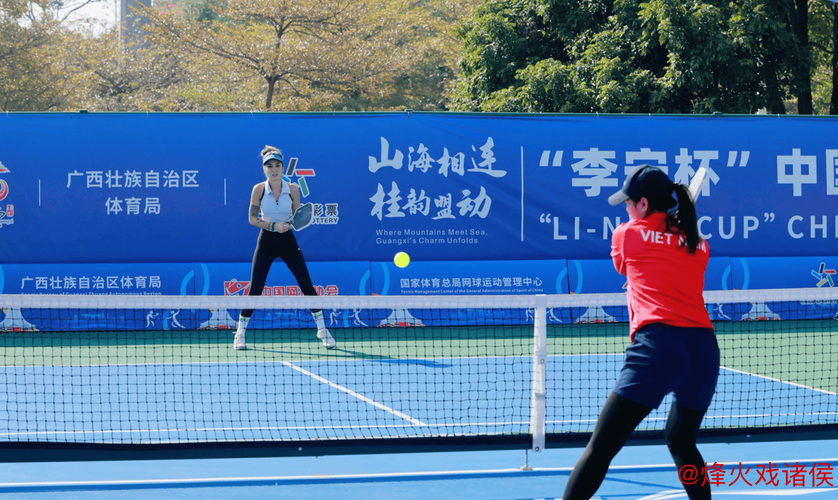 南宁举办中国—东盟匹克球公开赛