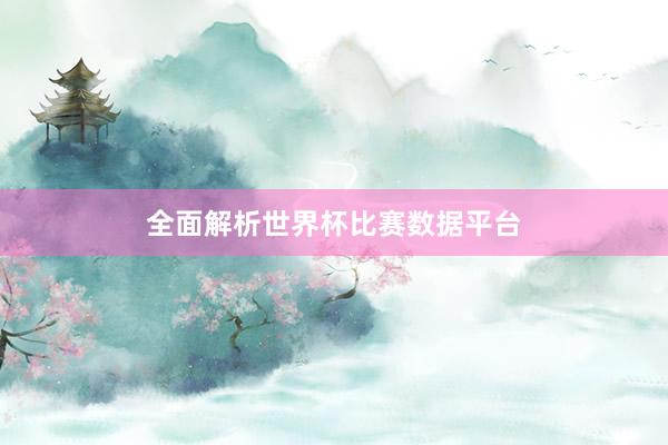 全面解析世界杯比赛数据平台