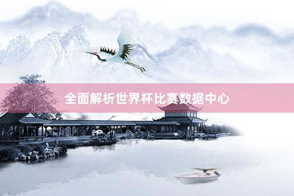 全面解析世界杯比赛数据中心