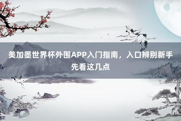 美加墨世界杯外围APP入门指南，入口辨别新手先看这几点