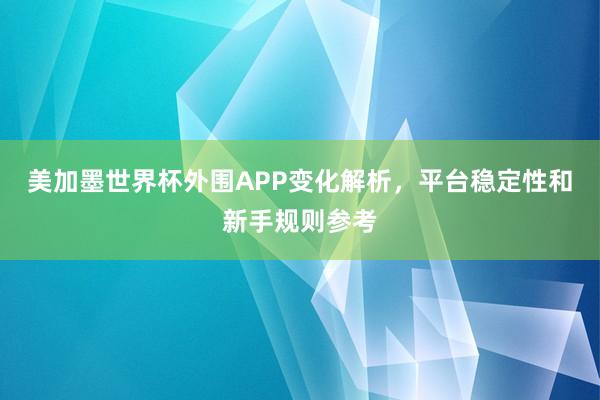 美加墨世界杯外围APP变化解析，平台稳定性和新手规则参考