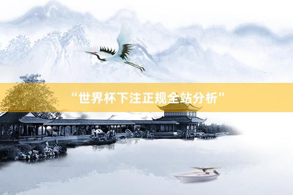 “世界杯下注正规全站分析”